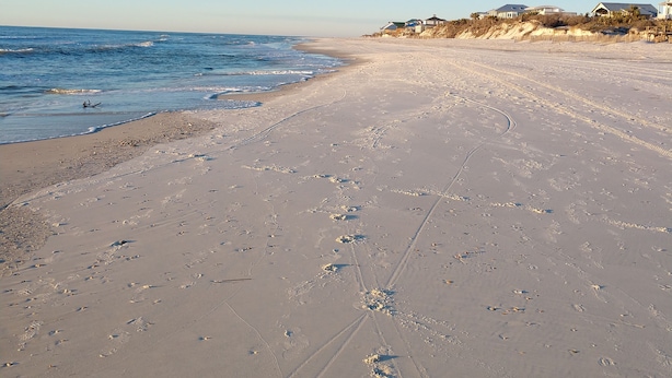 Una playa con huellas y surcos de neumáticos, cielo despejado y casas al fondo.