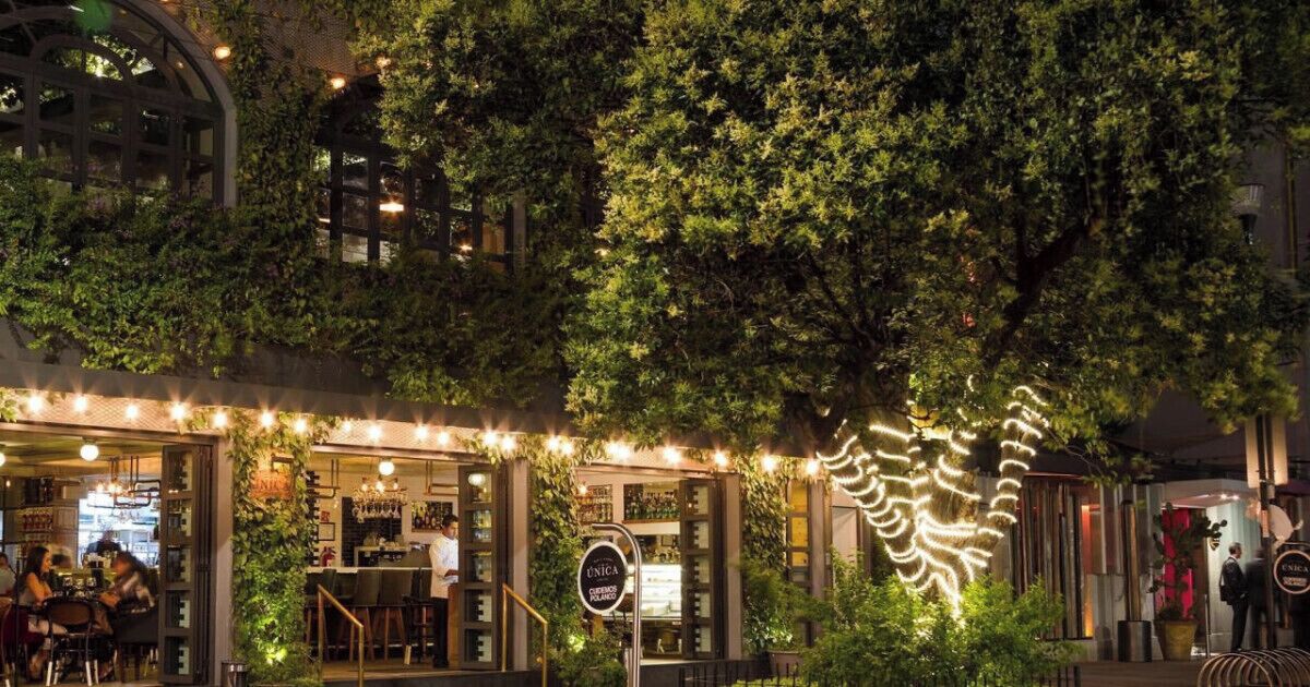 Foto - Casa Itzae B&B Polanquito Dog Friendly