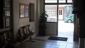 Une salle d’attente avec des chaises, une plante en pot et une fenêtre donnant sur la rue.