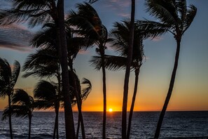 In Strandnähe, Strandtücher
