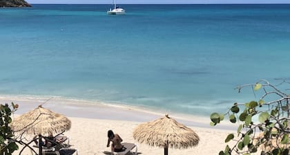 Virgin Island Villa Suite, View, Private Pool & Hot Tub!