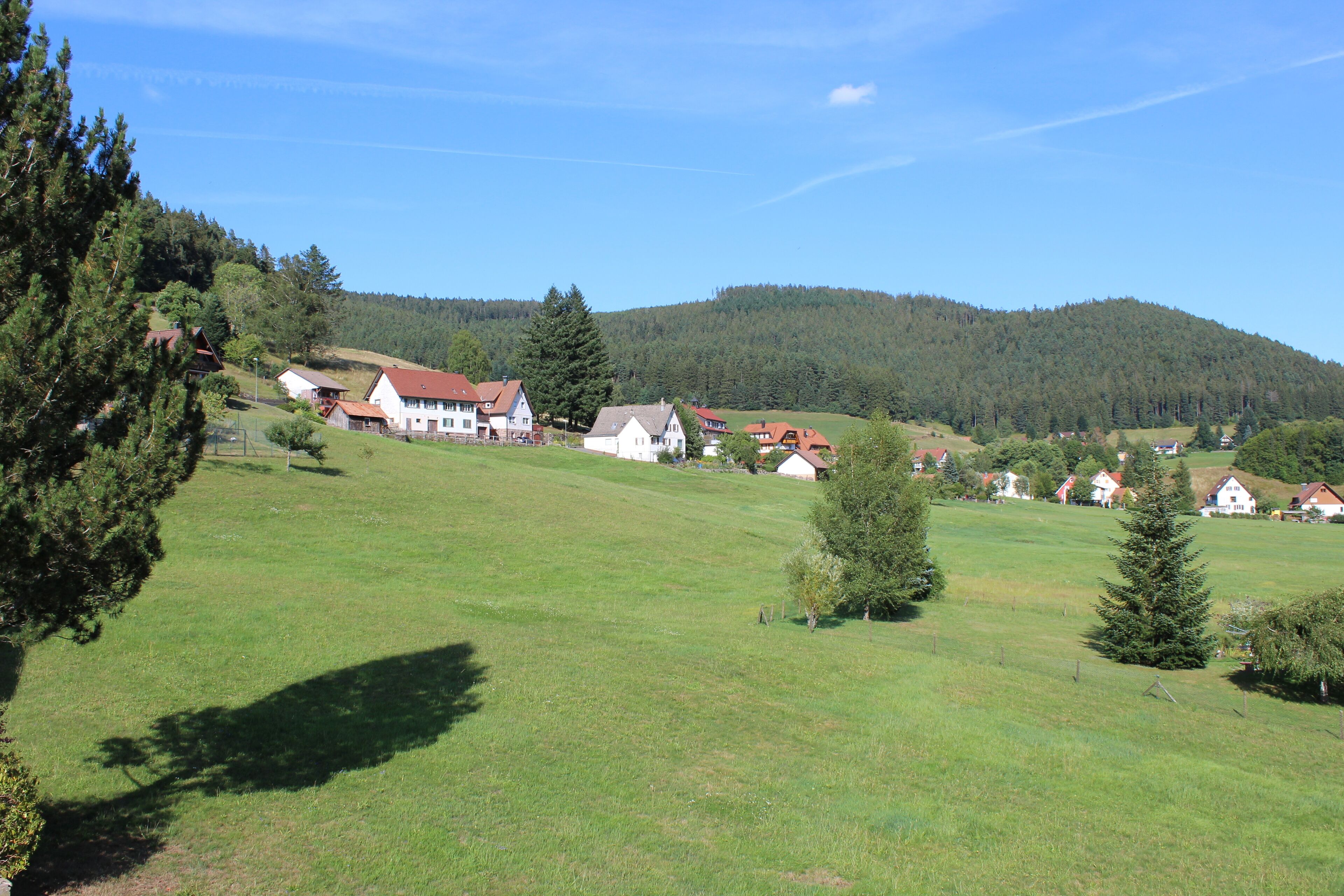 Der Schwarzwald direkt vor der Haustüre