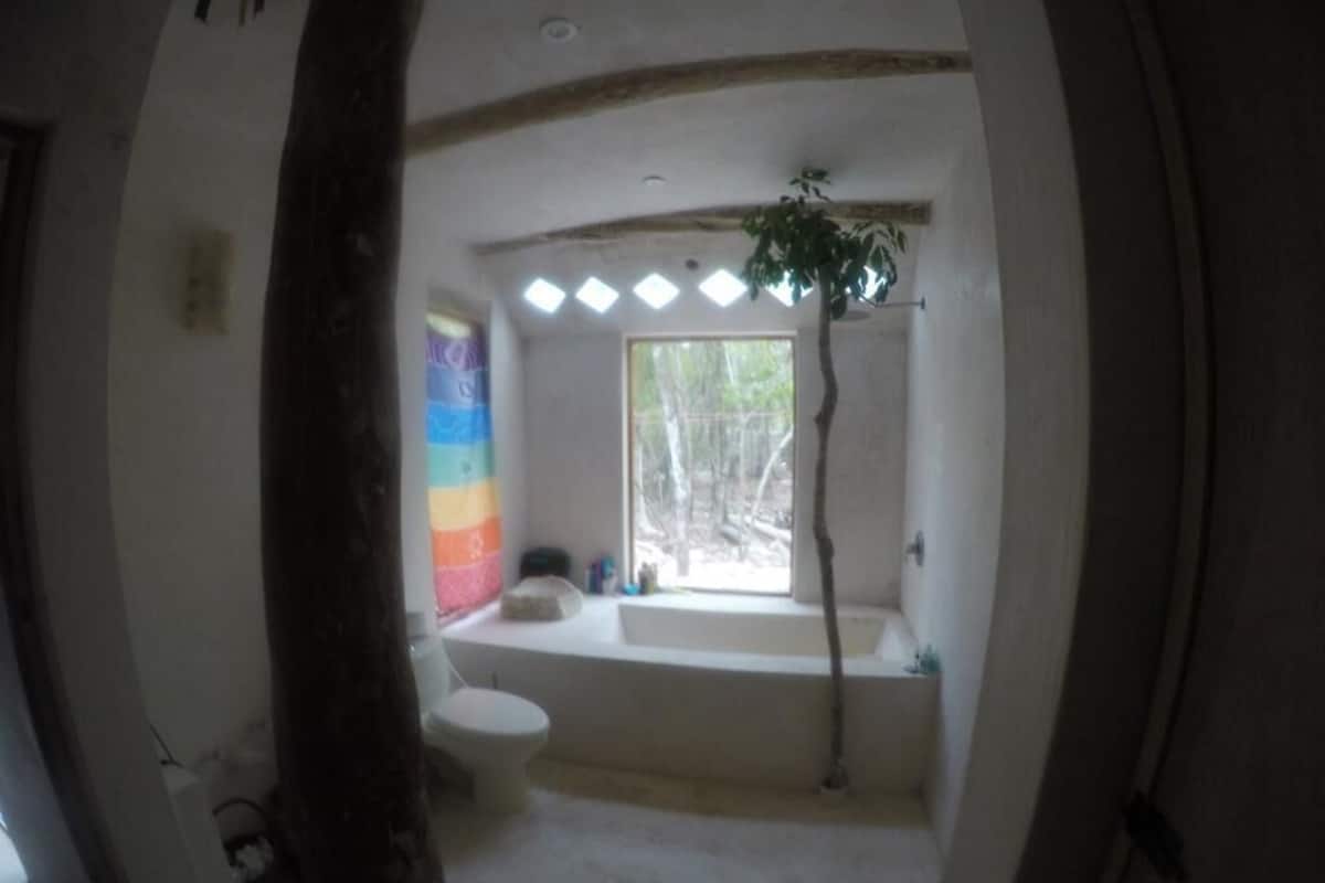 Combined shower/bathtub, towels, soap, toilet paper