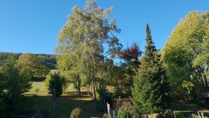 Appartement, niet-roken (Cliff, excl. cleaning fee 45 EUR) | Kameruitzicht