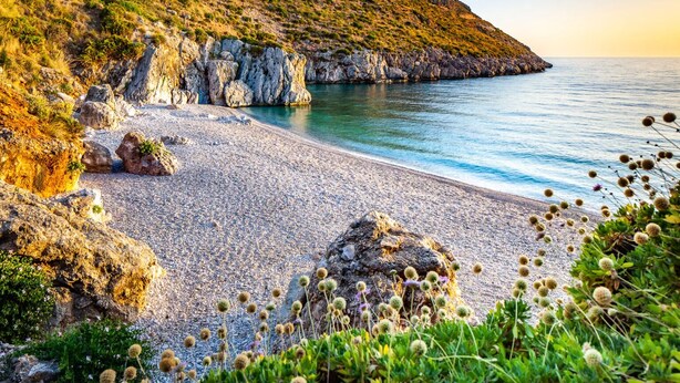 Une plage rocheuse parsemée de galets et dotée d’une végétation clairsemée, qui offre une vue sur une mer calme et un paysage vallonné.