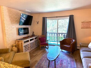 TV, fireplace, video library