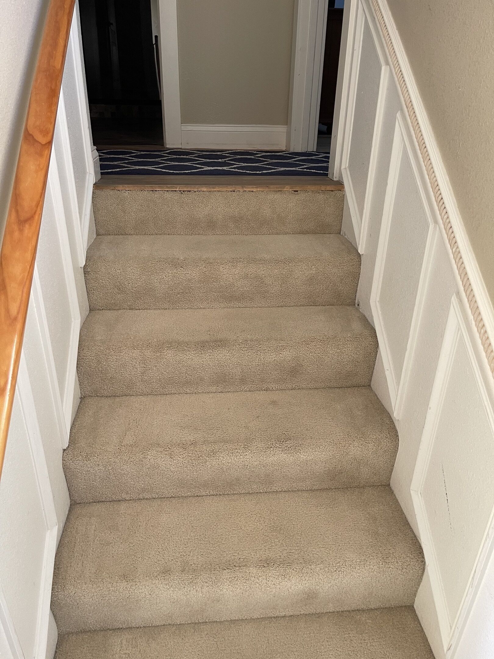 A carpeted staircase with white trim and a wooden handrail.