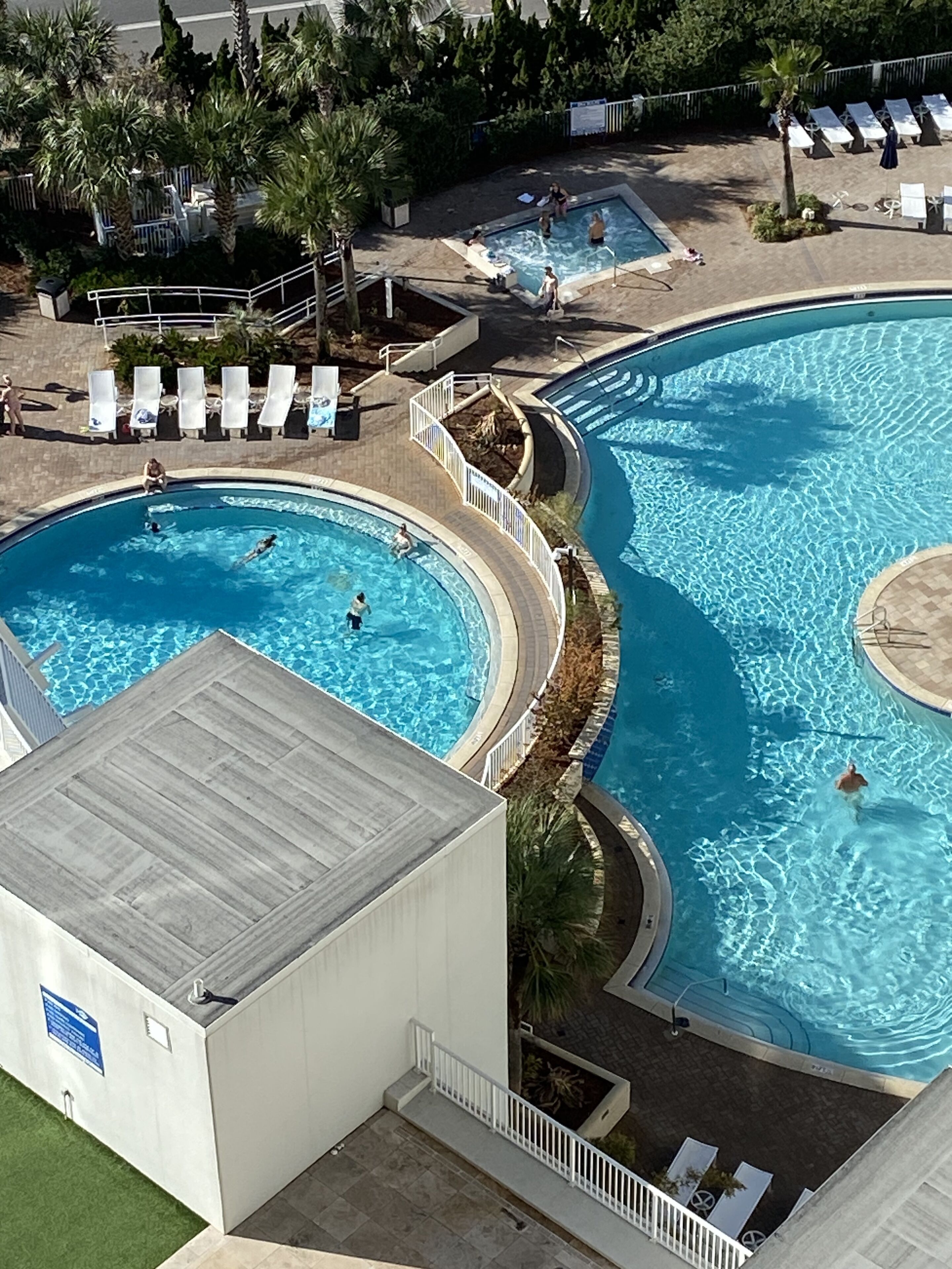 A large outdoor swimming pool with multiple lanes, surrounded by lounge chairs and palm trees.