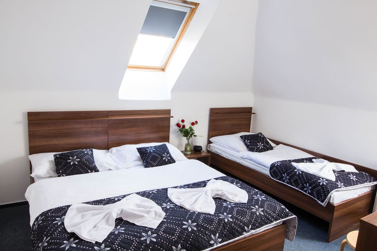 A room with two beds, a skylight, a vase with flowers, and a small table.