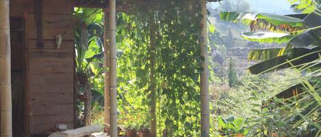 Terrain de lâhĂ©bergement