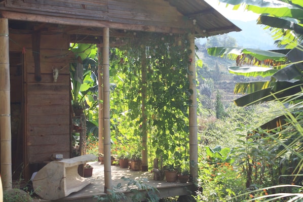 A wooden structure with a porch, surrounded by lush greenery and potted plants.