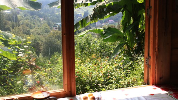 A room with a large window overlooking a lush garden and a distant view of a house.