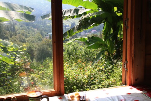 Honey Dreams -  Fairy house among the green hills