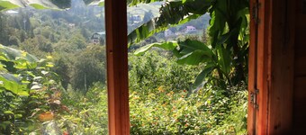 Honey Dreams - Fairy house among the green hills