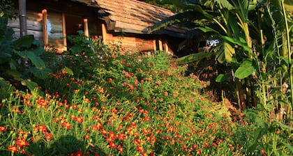 Honey Dreams - Feenhaus inmitten der grünen Hügel