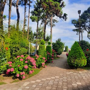 Áreas de la propiedad