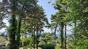 A garden with various trees and shrubs, a paved pathway, and a view of the sea. - Kolkhida Resort & Spa (Ureki)
