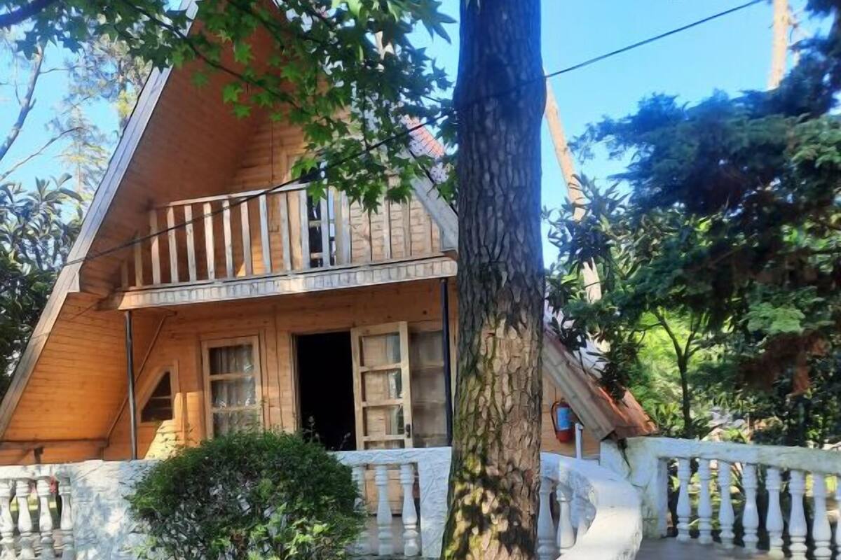 A wooden house with a balcony, surrounded by a garden with potted plants and a white balustrade.