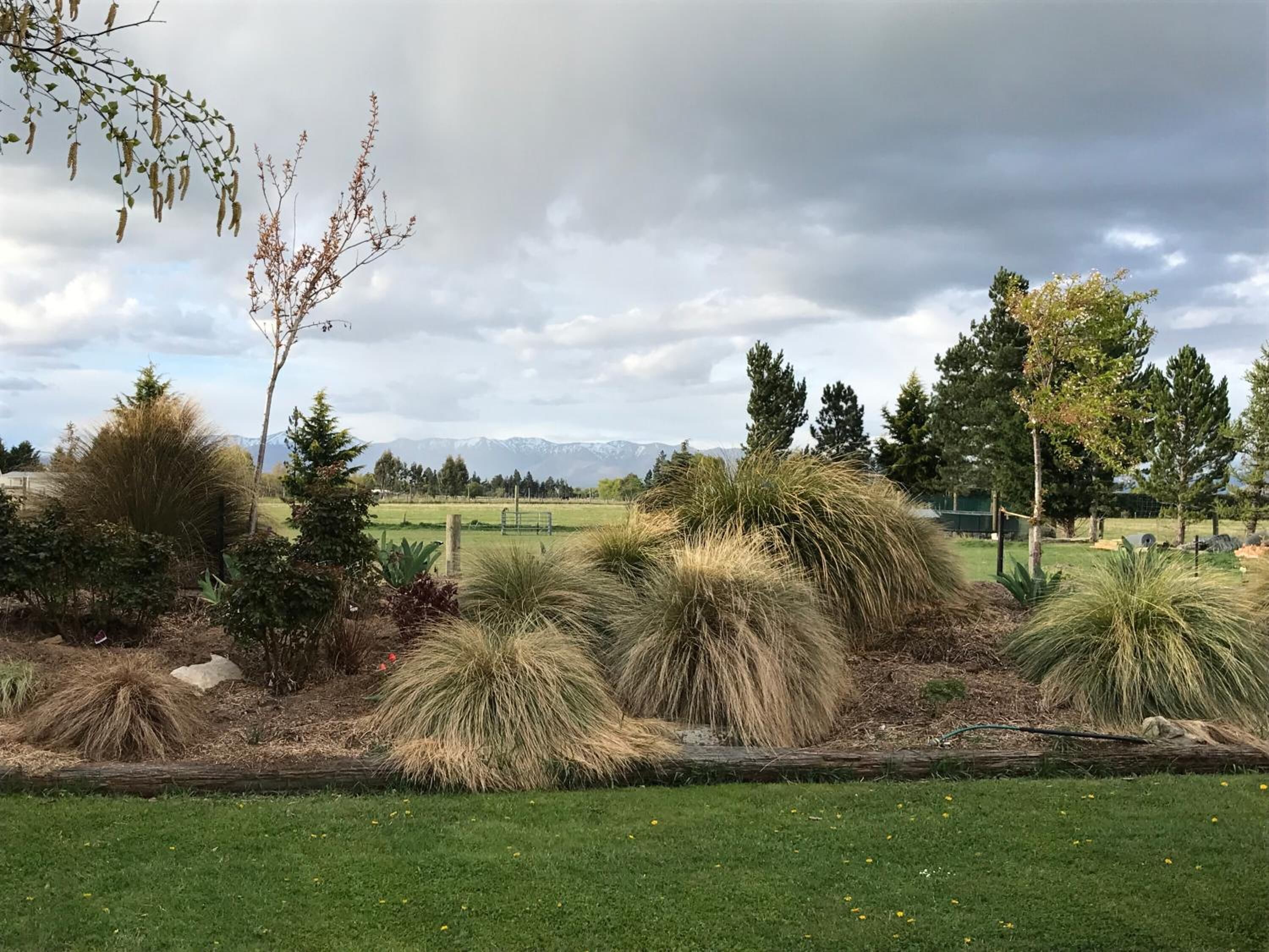 Un giardino curato con arbusti e alberi diversi, un prato verdeggiante e, sullo sfondo, una catena montuosa sotto un cielo nuvoloso.