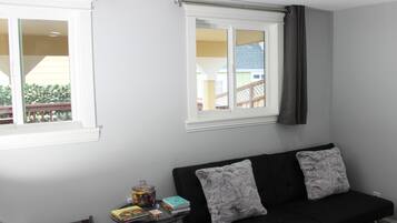 Smart TV, fireplace, books