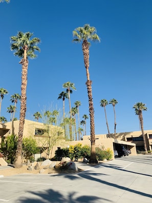 Property grounds - Palm Springs Two Bedroom Condo located near Old Las Palmas (Palm Springs)