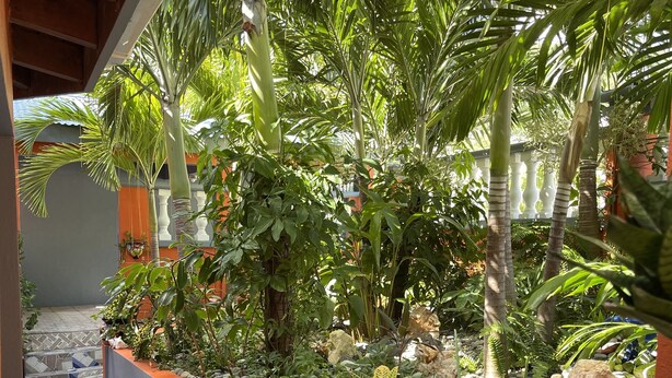 Ein Gartenbereich mit bepflanztem Kiesweg und weißem Zaun.