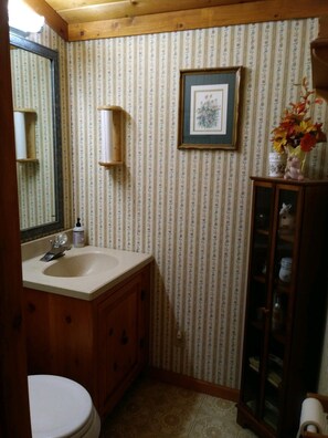 Combined shower/bathtub, eco-friendly toiletries, hair dryer, towels - Stargazer-Magnificent Picturesque View-Dark Skies-Hiking-Biking-Wildlife-Pets (Wellsville)