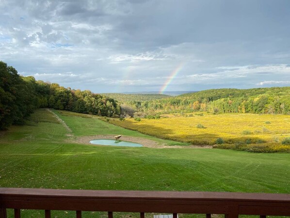 Àrea exterior de l'allotjament