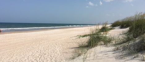 Playa en los alrededores, camastros y toallas de playa
