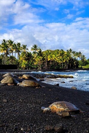 Beach nearby
