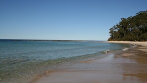 A beach with clear water, a sandy shore, and a forested area. - Original 1950's beach cottage (Mollymook)