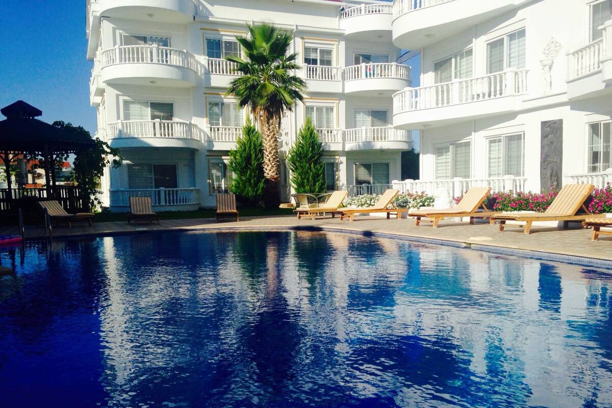 A swimming pool with lounge chairs and a palm tree.