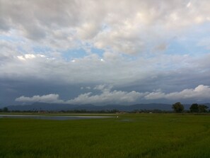 Unclassified image, 2 of 8, button - The single Villa paddy field scenery and wide view (kuah)