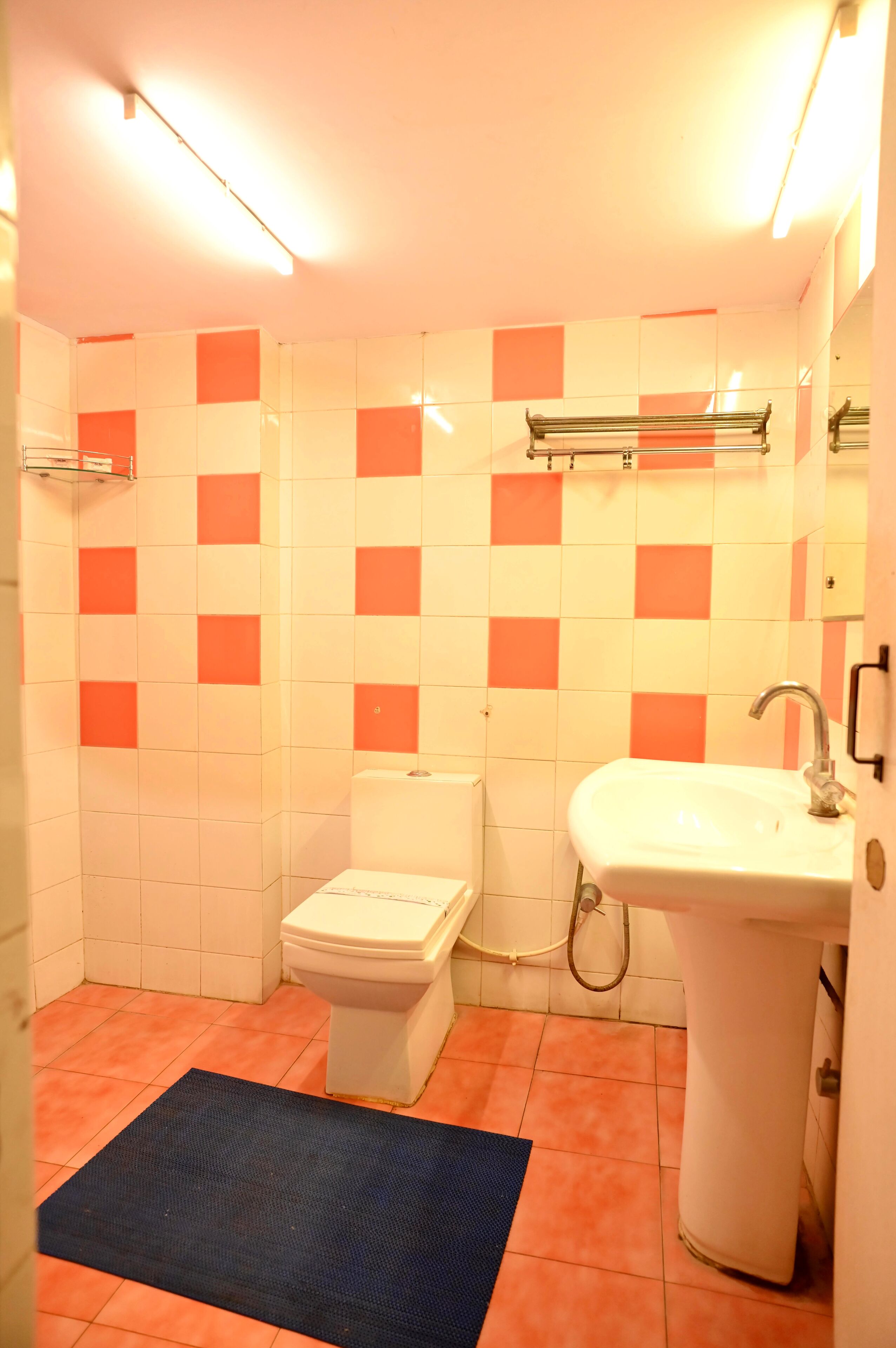 A bathroom with a toilet, sink, and a blue mat on the floor.