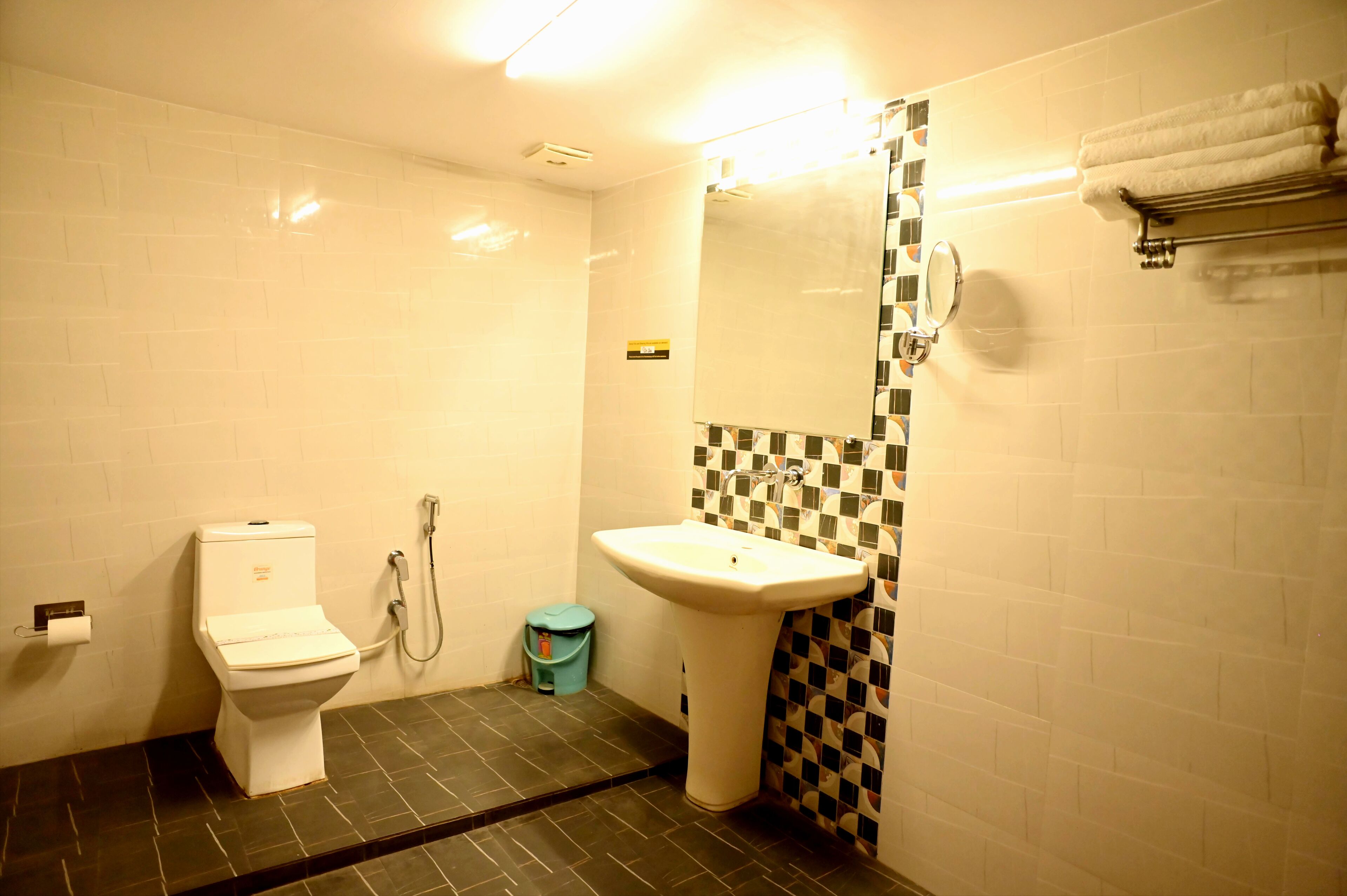 Une petite salle de bain avec des toilettes, un lavabo et une douche.