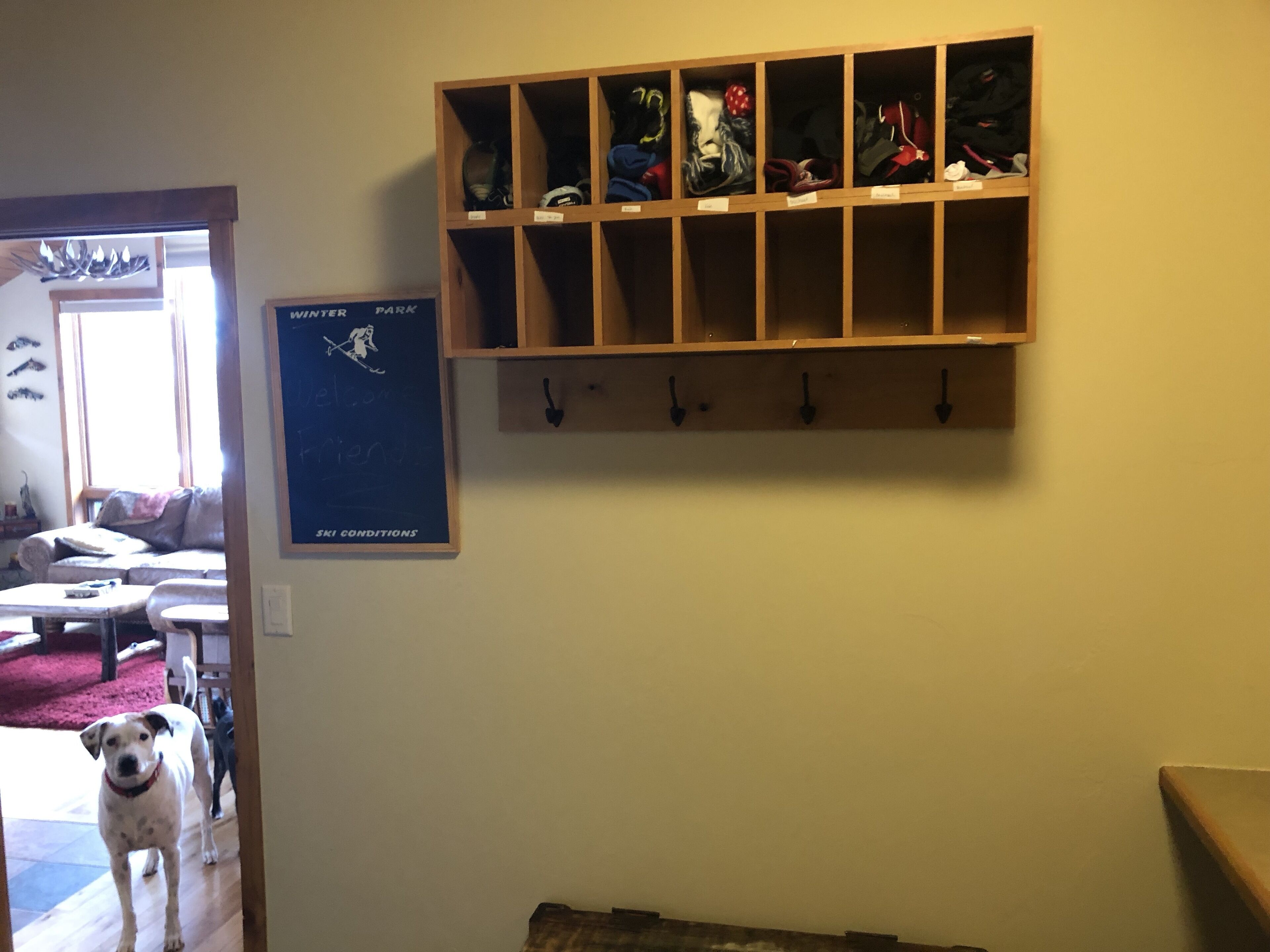 A room with a wooden shelf displaying various items, a poster on the wall, and a dog standing by the door.