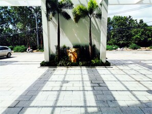 Free self parking