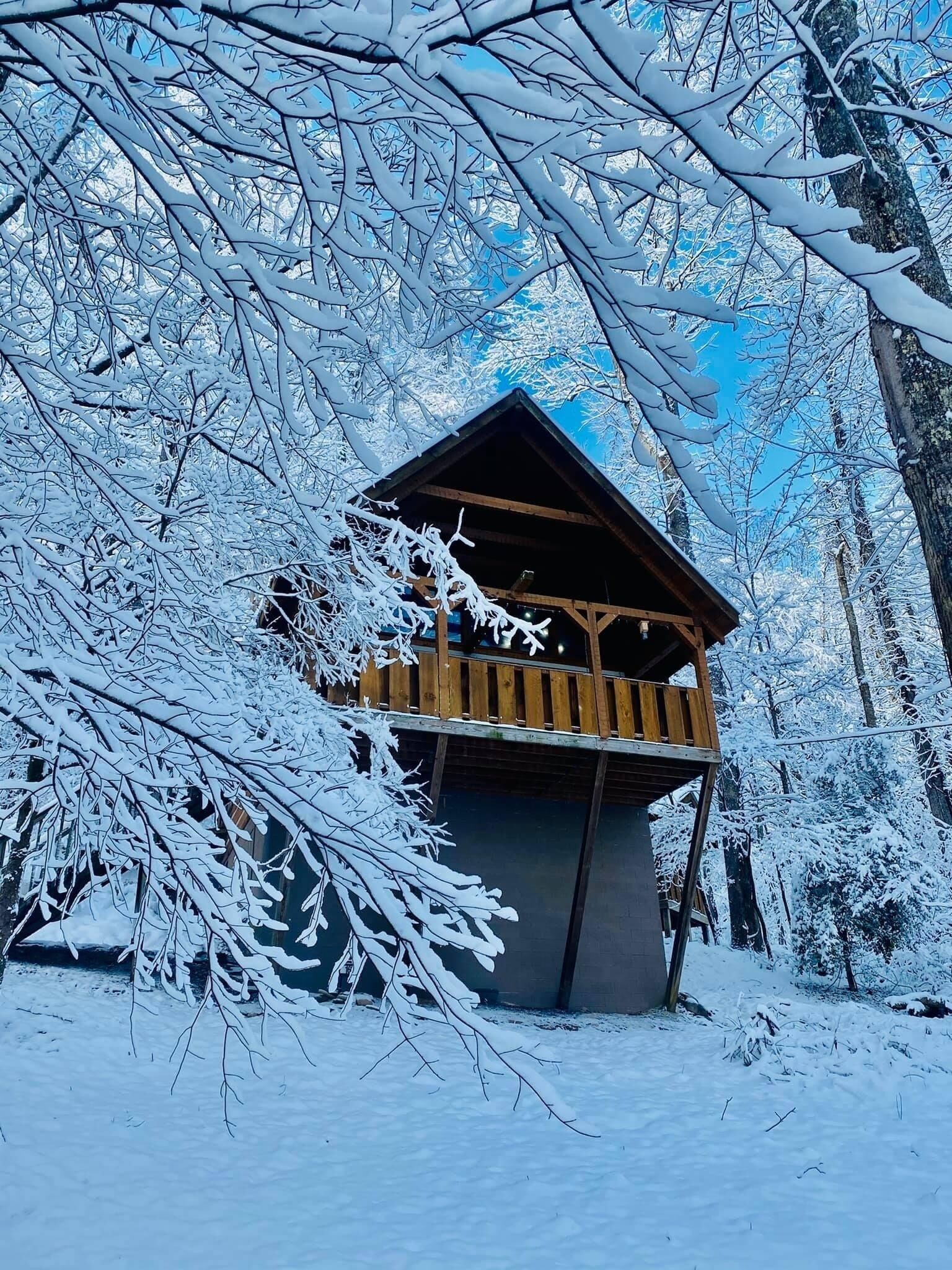 Cabin, 1 Bedroom | Exterior