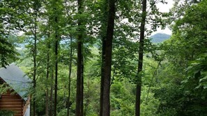 A forested area with tall trees and a small cabin with a metal roof. - Blessed Nest 1 Bedroom Cabin by RedAwning (Townsend)