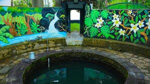 A stone fountain with a water feature, surrounded by vibrant murals of tropical foliage and flowers. - Rohoney Boutique Villa (Galle)