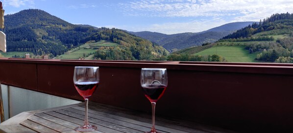 Apartment (A, incl. City Tax) | Blick vom Balkon