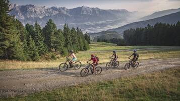 Eine Gruppe Radfahrer auf einem Schotterweg vor einer Bergkulisse.