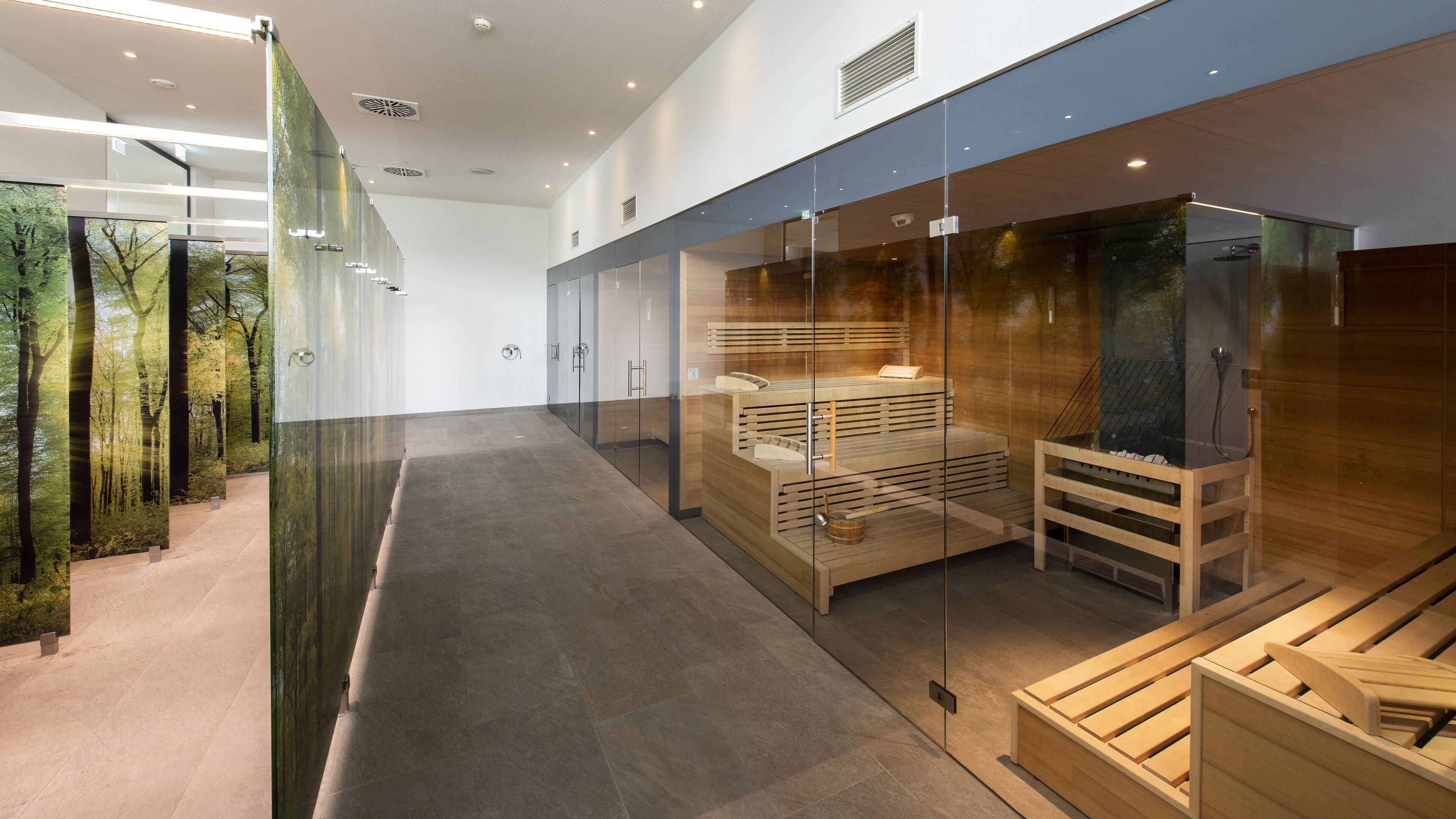 Ein modernes Interieur mit einer Glaswand, Holzbänken und einem Empfangstresen.