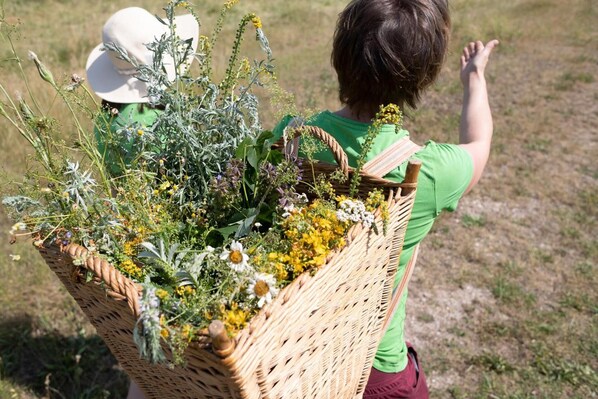 A child holding a wicker basket filled with various wildflowers and plants. - Kräuterhotel Garni zur Klostergrotte (Grammetal)