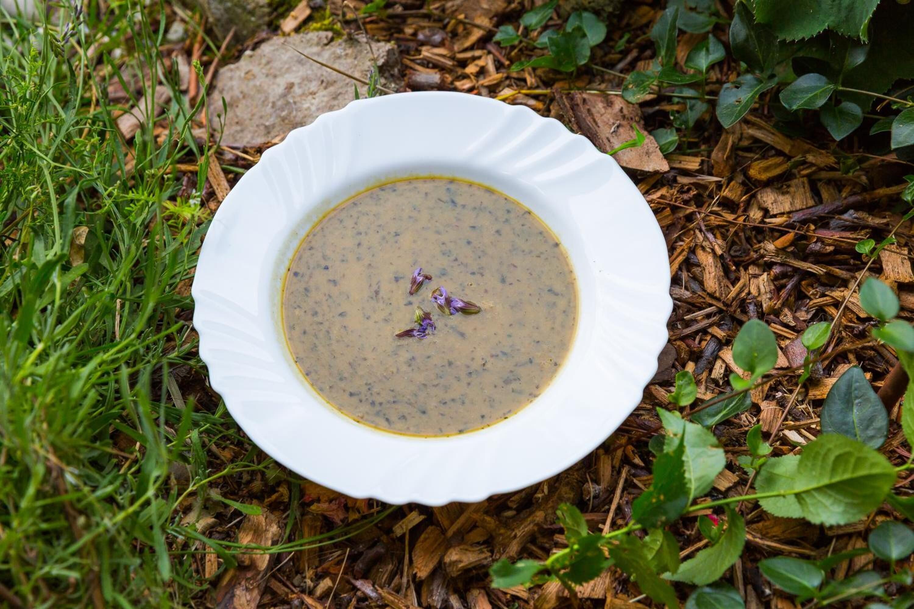 Uma tigela branca de sopa sobre um prato, rodeada por folhagem natural.