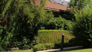 A residential area with a house, a pathway, and lush greenery.