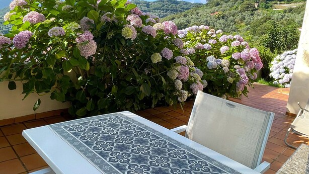 Eine Terrasse mit Tisch und Stühlen, umgeben von Hortensienbüschen, mit Blick auf eine üppige, grüne Landschaft.