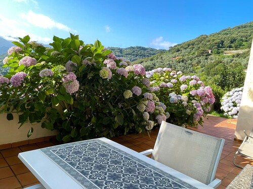 STUDIO CASA NEPITA TALLANO CLIM  EXT VUE GRANDIOSE  Meublé de tourisme 3 étoiles