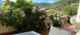 Charming loft at garden level with magnificent landscape, quiet, comfy, clean