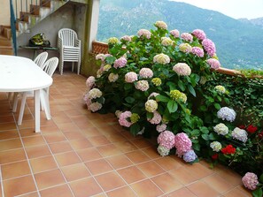 Outdoor dining - Charming loft at garden level with magnificent landscape, quiet, comfy, clean (Sainte-Lucie-de-Tallano)
